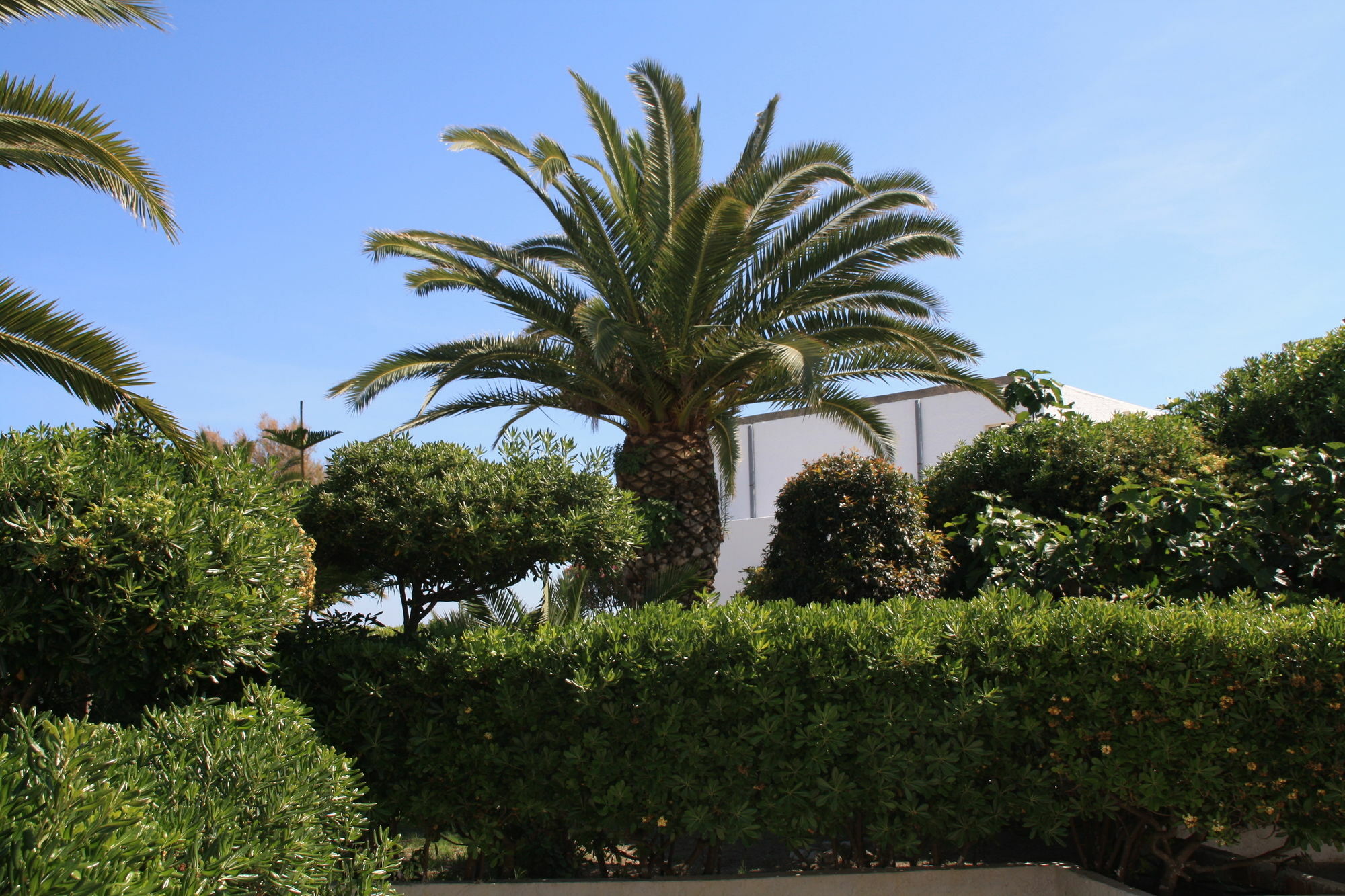 Hotel Villaggio Club Altalia Residence Brancaleone 외부 사진